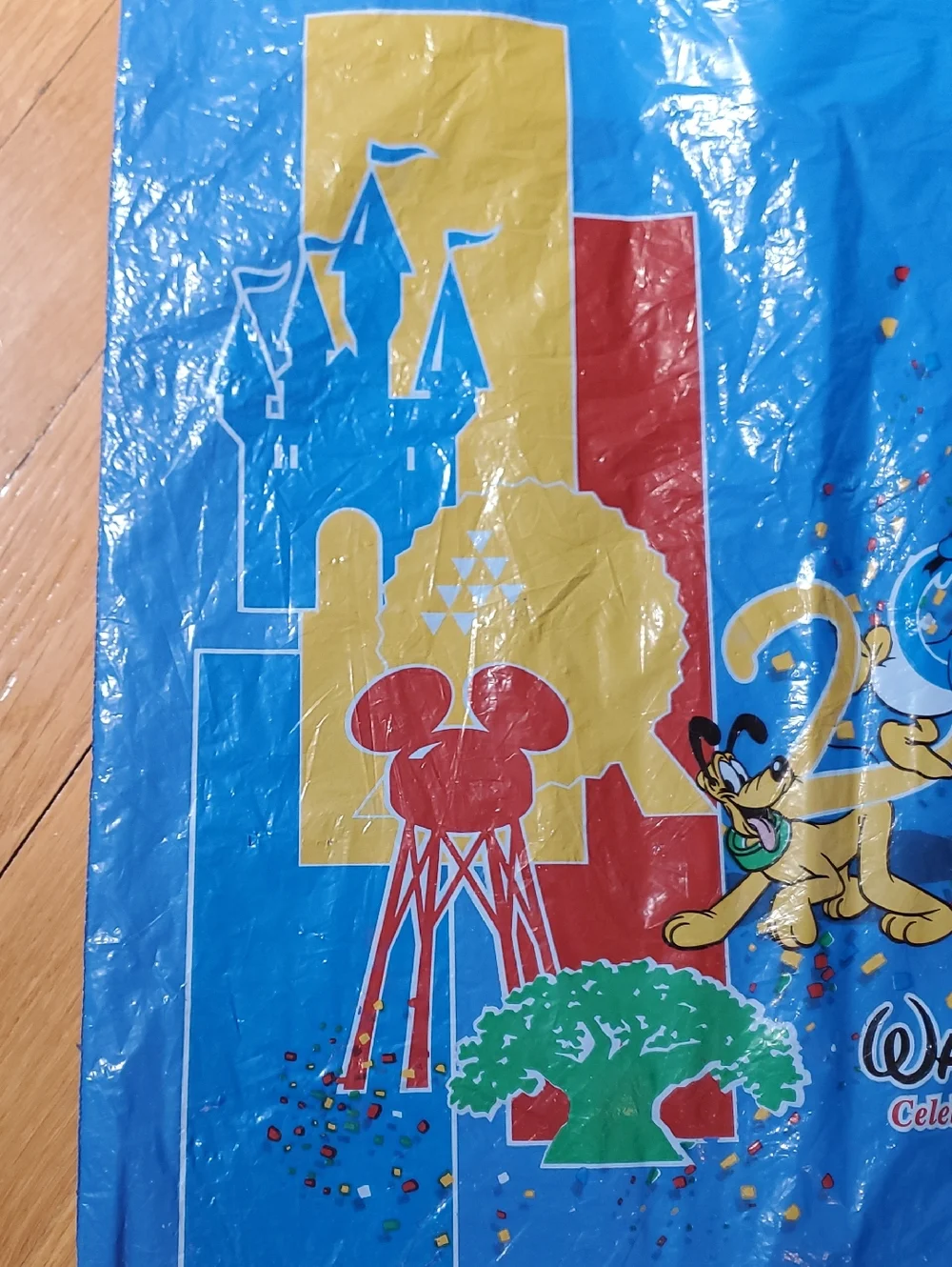 Vintage Disney World 2000 Bag